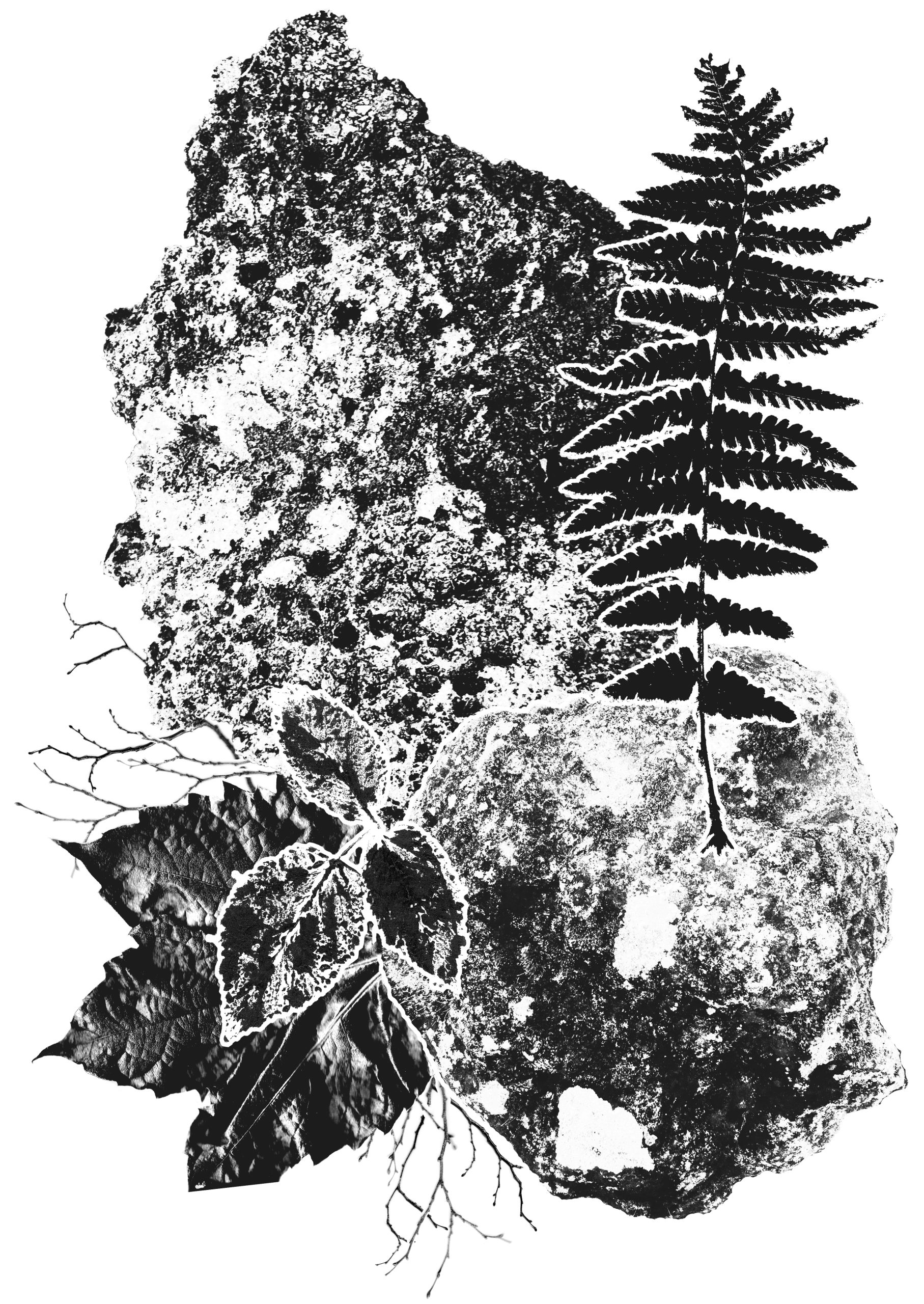 Sérigraphie nature sauvage avec pierres branchages feuilles