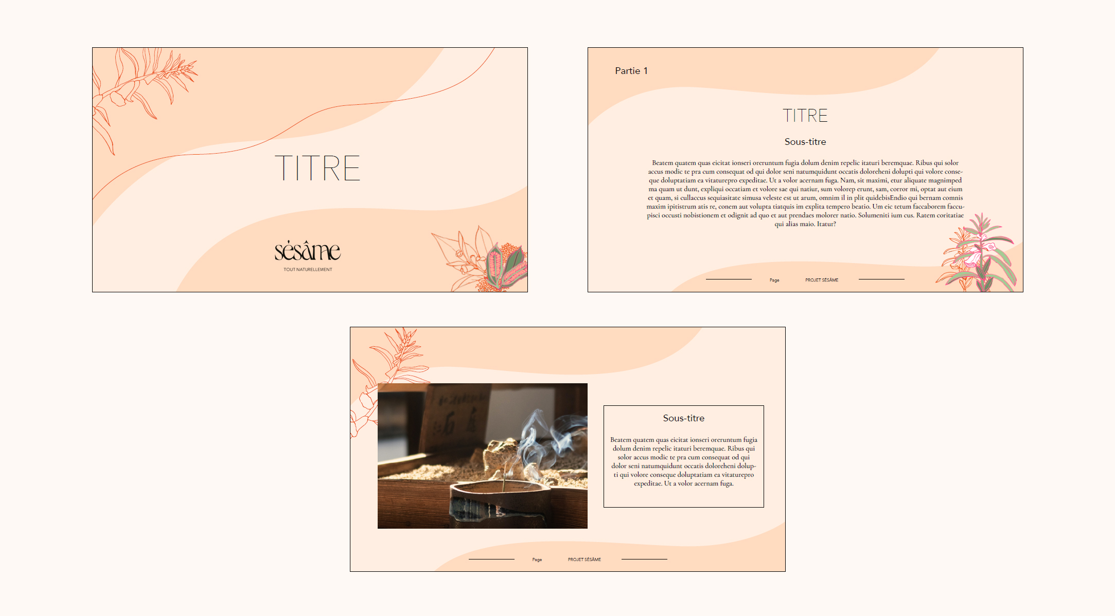 Template powerpoint sésâme