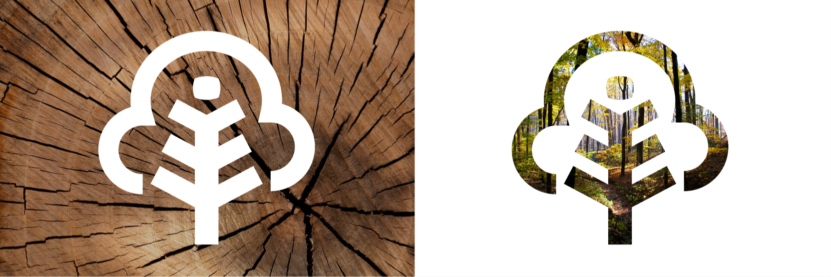 Logo incruste Les Robinelles